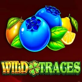 Official Slots logo: Wild Traces by Amusnet Interactive at Lyra Bet Casino